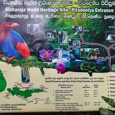 Sinharaja Vini Villa 데니야야 외부 사진
