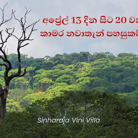 Sinharaja Vini Villa 데니야야 외부 사진