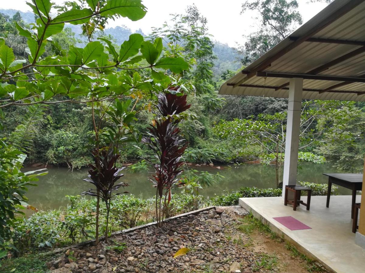 Sinharaja Vini Villa 데니야야 외부 사진