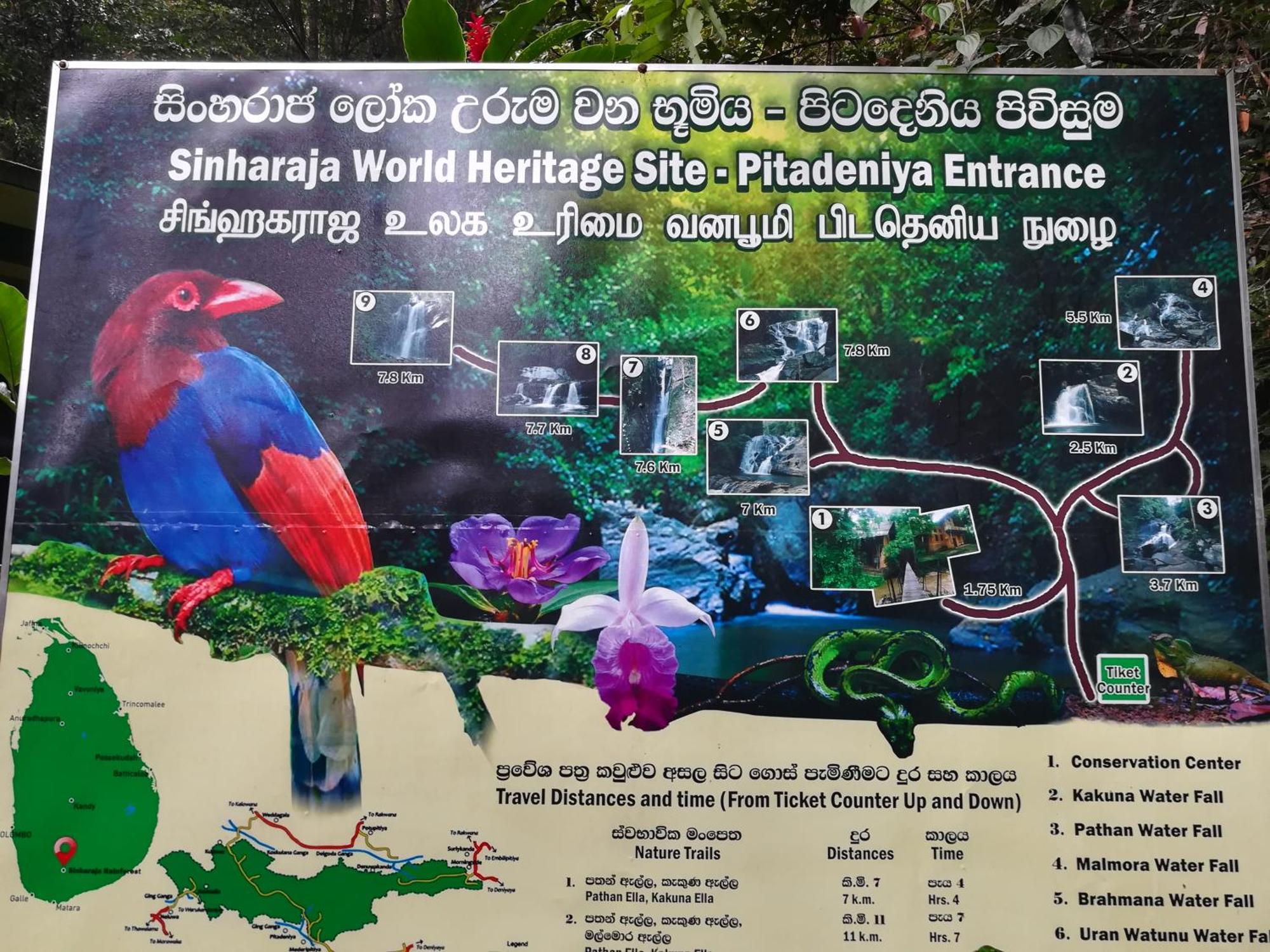 Sinharaja Vini Villa 데니야야 객실 사진
