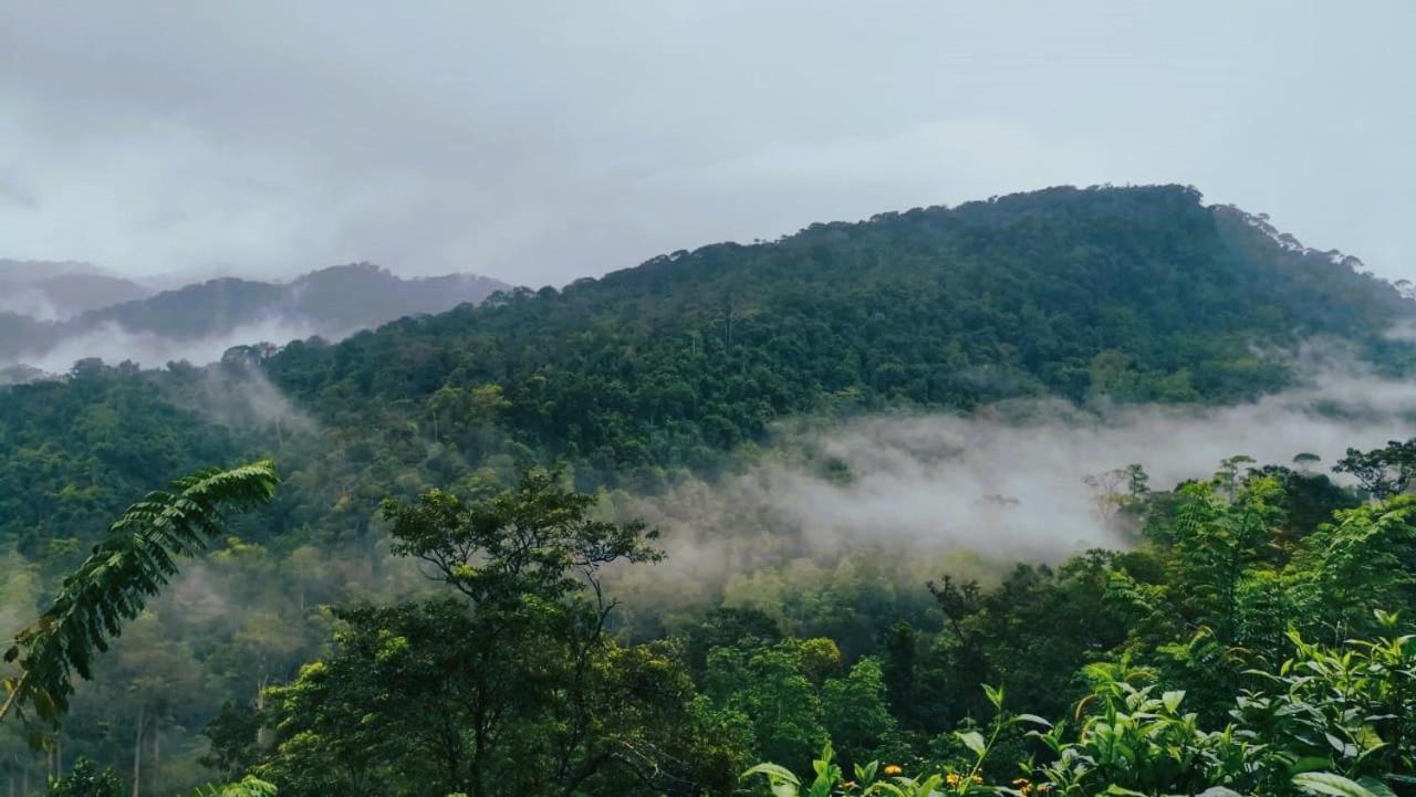 Sinharaja Vini Villa 데니야야 외부 사진