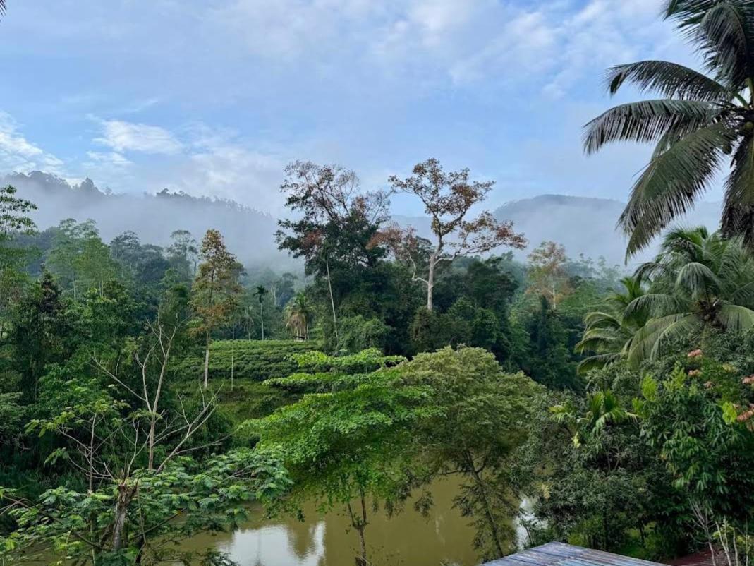 Sinharaja Vini Villa 데니야야 외부 사진