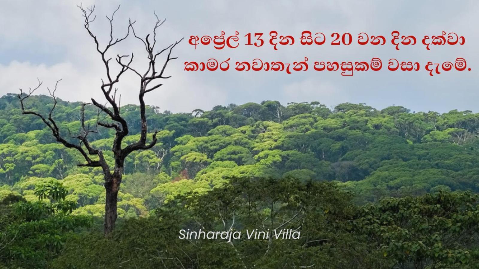 Sinharaja Vini Villa 데니야야 외부 사진